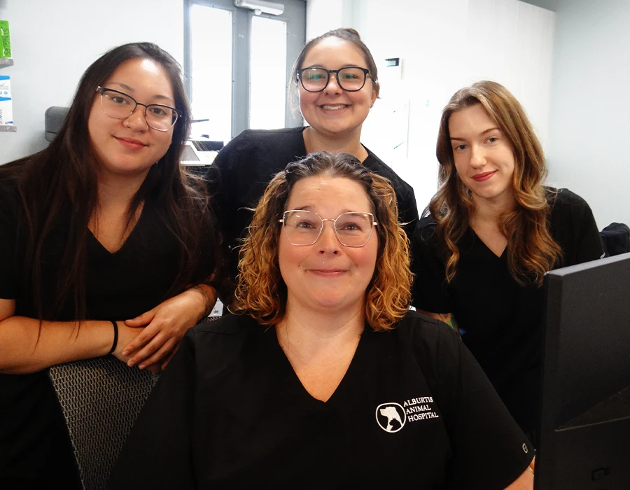 alburtis animal hospital team members