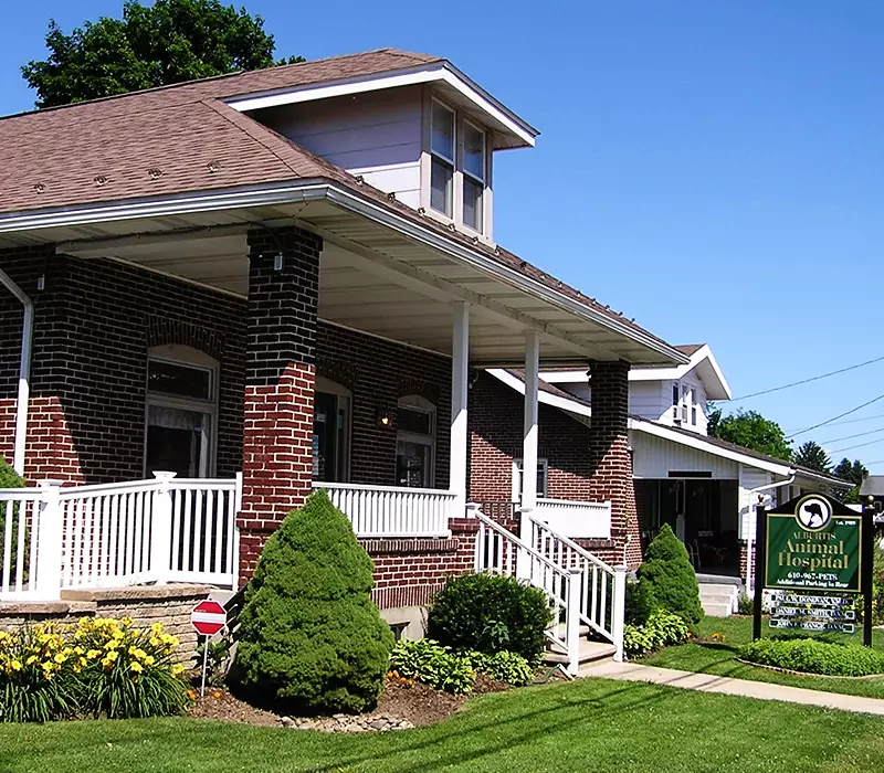alburtis animal hospital and urgent care entrance