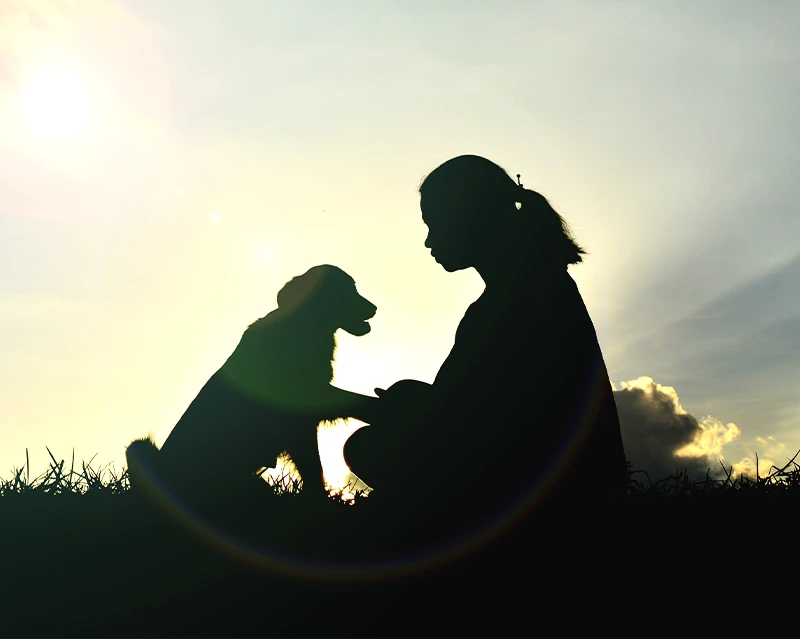 silhouette girl with dog sitting on field